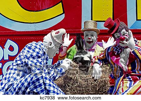 Three clowns smell a skunk on hay bale Stock Photo | kc7938 | Fotosearch