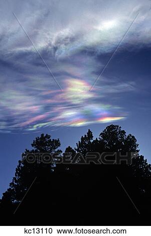 trees silhouetted below mother-of-pearl clouds rainbow effect colorado View Large Photo Image Stock Image - trees silhouetted below mother-of-pearl clouds rainbow effect colorado. Fotosearch