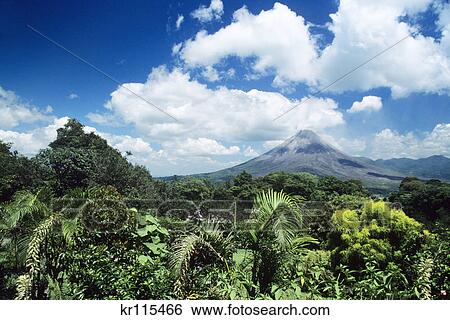 tropical vegetation with arenal volcano costa rica View Large Photo Image Stock Photograph - tropical vegetation with arenal volcano costa rica. Fotosearch