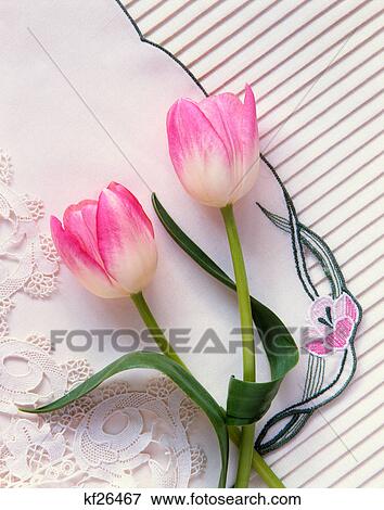 Stock Photo - tulips lying on embroidered cloth. Fotosearch