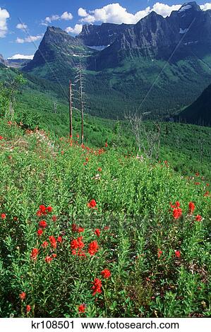view of glacier national park from going-to-the-sun highway montana View Large Photo Image Stock Image - view of glacier national park from going-to-the-sun highway montana. Fotosearch