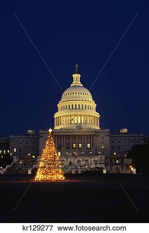 washington dc capitol building and national christmas tree at night View Large Photo Image Stock Photo - washington dc capitol building and national christmas tree at night. Fotosearch