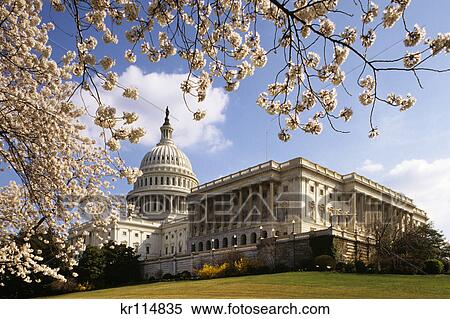 washington dc capitol building spring View Large Photo Image Stock Photography - washington dc capitol building spring. Fotosearch