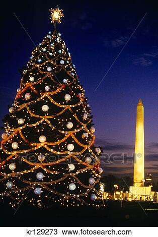 Stock Image - washington dc washington monument and national christmas tree at night. Fotosearch