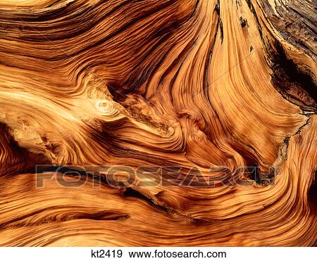 Stock Photo - weathered pine wood texture. Fotosearch