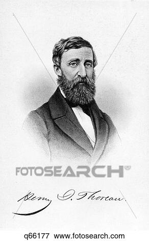 Stock Photo - 1860S 1861 Portrait Of Older Henry David Thoreau American Poet Naturalist Essayist. Fotosearch