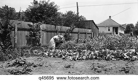 1910S Woman Wearing Sunbonnet Working In A Backyard Garden Kansas City Missouri View Large Photo Image Stock Photography - 1910S Woman Wearing Sunbonnet Working In A Backyard Garden Kansas City Missouri. Fotosearch