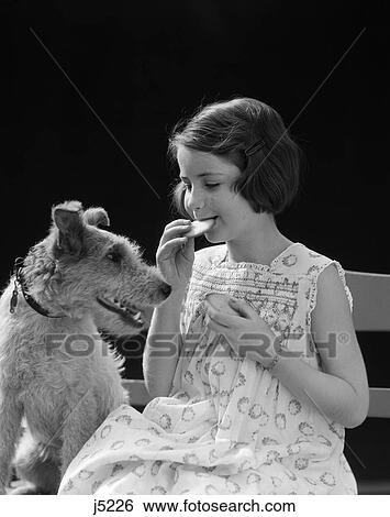 1920S 1930S Wire Hair Terrier Dog Watching Young Girl Eating Cookie View Large Photo Image Stock Photograph - 1920S 1930S Wire Hair Terrier Dog Watching Young Girl Eating Cookie. Fotosearch