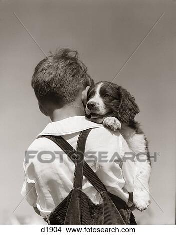 1930S 1940S Back View Of Boy In Corduroy Overalls Holding Springer Spaniel Puppy View Large Photo Image Picture - 1930S 1940S Back View Of Boy In Corduroy Overalls Holding Springer Spaniel Puppy. Fotosearch