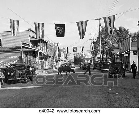 1930S Main Street Small Town With Flags Flying & Cow Crossing Street View Large Photo Image Stock Image - 1930S Main Street Small Town With Flags Flying & Cow Crossing Street. Fotosearch