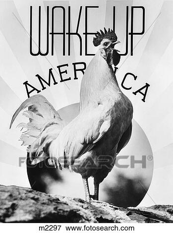 1930S Montage Rooster Wake Up America & Sunrise View Large Photo Image Stock Photo - 1930S Montage Rooster Wake Up America & Sunrise. Fotosearch