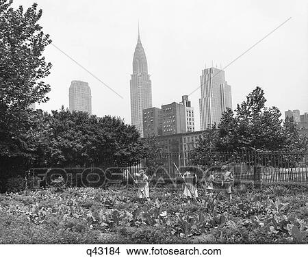 1940S 1943 Children Working In Victory Gardens In St. Gabriel'S Park New York City Chrysler Building Visible In Background View Large Photo Image Picture - 1940S 1943 Children Working In Victory Gardens In St. Gabriel'S Park New York City Chrysler Building Visible In Background. Fotosearch