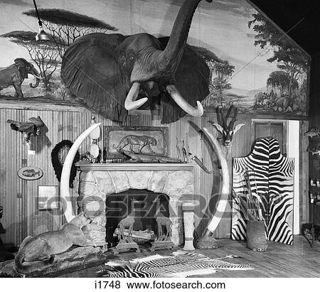 1940S 1950S Room With Big Game Trophies Mounted Around A Fireplace View Large Photo Image Stock Photo - 1940S 1950S Room With Big Game Trophies Mounted Around A Fireplace. Fotosearch