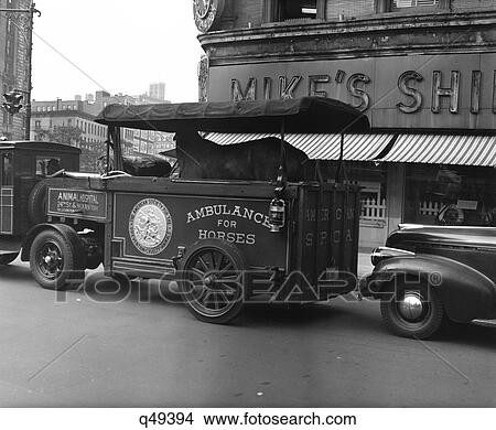 1940S Aspca Ambulance Carries An Ailing Horse Corner Of Broadway And 66Th Street New York City View Large Photo Image Picture - 1940S Aspca Ambulance Carries An Ailing Horse Corner Of Broadway And 66Th Street New York City. Fotosearch