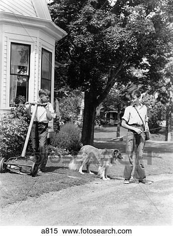 1940S Boy With Fishing Gear Collie Dog Second Boy Mowing Grass With Push Mower View Large Photo Image Stock Photography - 1940S Boy With Fishing Gear Collie Dog Second Boy Mowing Grass With Push Mower . Fotosearch