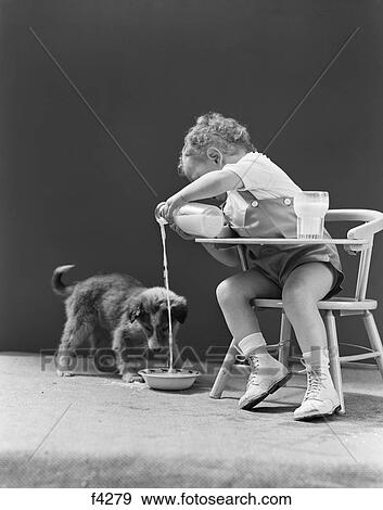 1940S Toddler Sitting In Chair Pouring Milk From Bottle Into Bowl For Puppy Dog View Large Photo Image Stock Photo - 1940S Toddler Sitting In Chair Pouring Milk From Bottle Into Bowl For Puppy Dog. Fotosearch