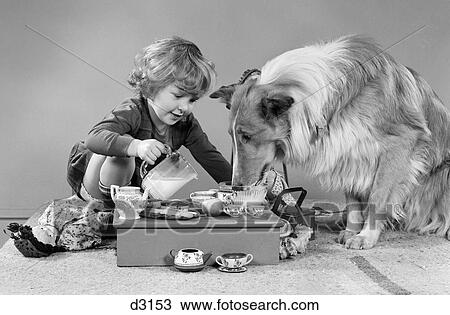 1950S 1960S Little Girl Pouring Milk At Tea Party For Collie Dog View Large Photo Image Stock Image - 1950S 1960S Little Girl Pouring Milk At Tea Party For Collie Dog. Fotosearch