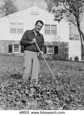 1950S 1960S Smiling Man Raking Autumn Leaves In Front Yard Of House View Large Photo Image Stock Image - 1950S 1960S Smiling Man Raking Autumn Leaves In Front Yard Of House. Fotosearch