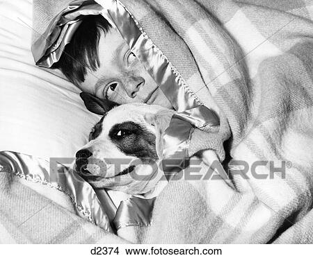 Picture - 1950S Boy Hiding Under Blanket In Bed With Dog. Fotosearch