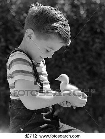 1950S Boy Holding Baby Duck Smiling Summer Outdoor View Large Photo Image Stock Image - 1950S Boy Holding Baby Duck Smiling Summer Outdoor. Fotosearch