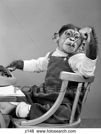 1950S Chimpanzee In Overalls Sitting In Chair At Typewriter Putting Pencil Eraser In Mouth View Large Photo Image Stock Photo - 1950S Chimpanzee In Overalls Sitting In Chair At Typewriter Putting Pencil Eraser In Mouth. Fotosearch