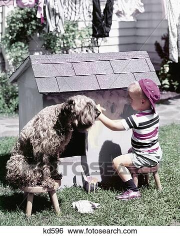 1950S Little Boy Painting Doghouse Shaggy Dog On Stool Watching View Large Photo Image Stock Photograph - 1950S Little Boy Painting Doghouse Shaggy Dog On Stool Watching. Fotosearch