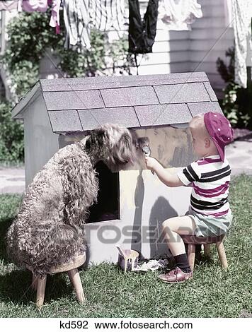 1950S Little Boy Red Ball Cap Painting Side Doghouse Dog Kerry Blue Terrier Sitting On Stool Watching View Large Photo Image Stock Image - 1950S Little Boy Red Ball Cap Painting Side Doghouse Dog Kerry Blue Terrier Sitting On Stool Watching. Fotosearch