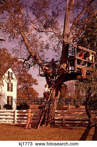 1960S 6 Children Playing In And Climbing Ladder Into Tree House In Suburban Backyard View Large Photo Image Stock Image - 1960S 6 Children Playing In And Climbing Ladder Into Tree House In Suburban Backyard. Fotosearch