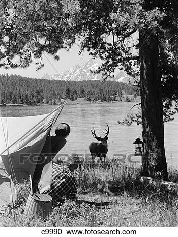 1960S Campers At Grand Teton National Park Wyoming Spotting Buck At Lakeside View Large Photo Image Stock Image - 1960S Campers At Grand Teton National Park Wyoming Spotting Buck At Lakeside. Fotosearch