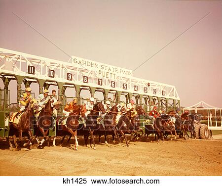 1960S Eleven Race Horses And Jockeys Coming Out Of Starting Gate View Large Photo Image Stock Photography - 1960S Eleven Race Horses And Jockeys Coming Out Of Starting Gate. Fotosearch