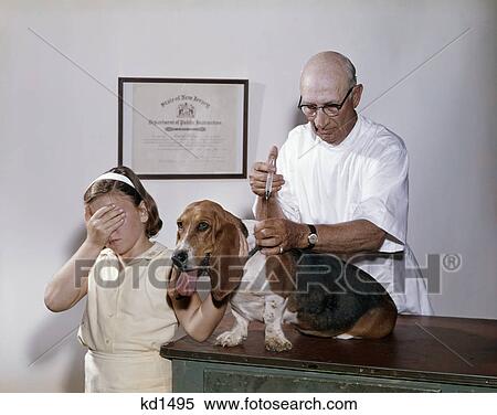 Stock Photography - 1960S Little Girl Hiding Eyes With As Pet Basset Hound Gets Injection From Veterinarian . Fotosearch