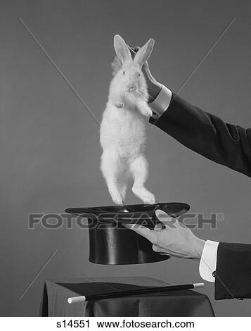 1960S Magician’S Hands Pulling White Rabbit Out Of Top Hat View Large Photo Image Stock Image - 1960S Magician’S Hands Pulling White Rabbit Out Of Top Hat. Fotosearch