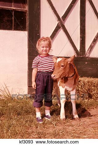 1960S Smiling Girl Rolled Up Denim Jeans With Guernsey Calf Outside Barn View Large Photo Image Stock Image - 1960S Smiling Girl Rolled Up Denim Jeans With Guernsey Calf Outside Barn . Fotosearch
