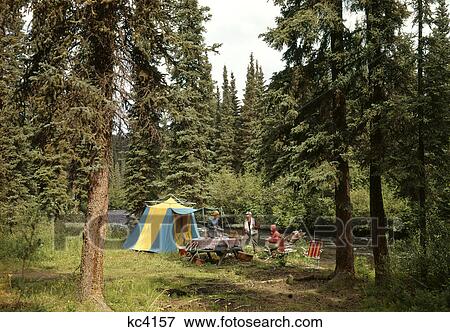1970S 1980S Family Tent Campsite In Pine Forest Beside Stream View Large Photo Image Stock Photo - 1970S 1980S Family Tent Campsite In Pine Forest Beside Stream. Fotosearch