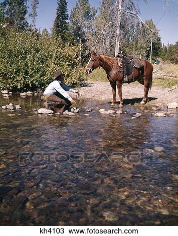 1970S Cowboy In Stream Kneeling Try To Lead Horse Into Water View Large Photo Image Stock Image - 1970S Cowboy In Stream Kneeling Try To Lead Horse Into Water. Fotosearch