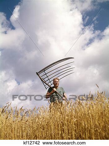 1970S Farmer Man Standing In Wheat Field Holding Antique Grain Cradle View Large Photo Image Stock Image - 1970S Farmer Man Standing In Wheat Field Holding Antique Grain Cradle. Fotosearch