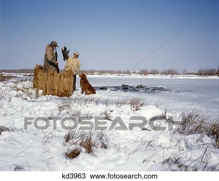 1970S Father Son Hunting In Winter Snow With Golden Retriever Boy Holding Duck Deep Creek, Va View Large Photo Image Stock Image - 1970S Father Son Hunting In Winter Snow With Golden Retriever Boy Holding Duck Deep Creek, Va. Fotosearch