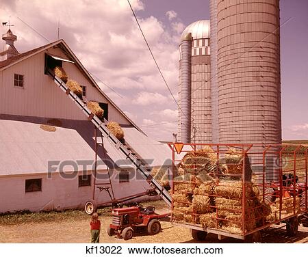 1970S Girl Watching Hay Bales On Conveyor Belt Loading Into Barn By Farm Grain Silos View Large Photo Image Stock Image - 1970S Girl Watching Hay Bales On Conveyor Belt Loading Into Barn By Farm Grain Silos. Fotosearch