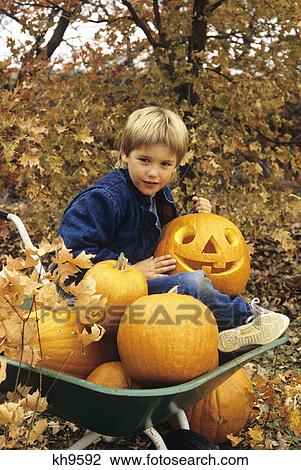 1980S Boy Setting In Wheel Barrow With Halloween Pumpkins View Large Photo Image Stock Image - 1980S Boy Setting In Wheel Barrow With Halloween Pumpkins. Fotosearch