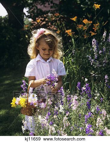 1980S Little Girl Picking Flowers View Large Photo Image Stock Photo - 1980S Little Girl Picking Flowers . Fotosearch