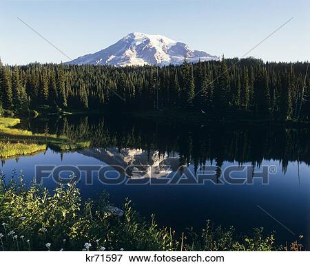 1980S Mirror Lake And Mount Rainier Washington State Usa View Large Photo Image Stock Photo - 1980S Mirror Lake And Mount Rainier Washington State Usa. Fotosearch