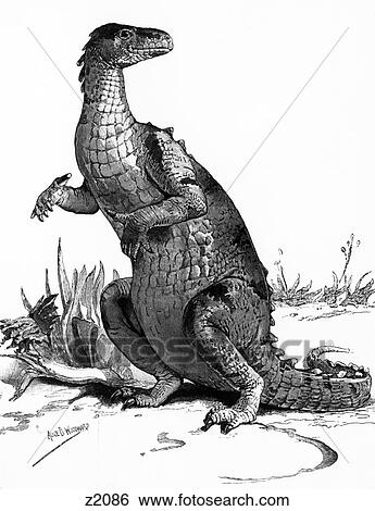Stock Photograph - 1990S Engraving Of Dinosaur Iguanodon. Fotosearch