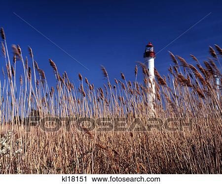 1990S Lighthouse Cape May Point New Jersey Usa View Large Photo Image Stock Image - 1990S Lighthouse Cape May Point New Jersey Usa. Fotosearch