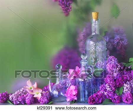 1990S Lilacs Pink Dogwood And Azaleas With Antique Glassware Still Life View Large Photo Image Stock Image - 1990S Lilacs Pink Dogwood And Azaleas With Antique Glassware Still Life. Fotosearch