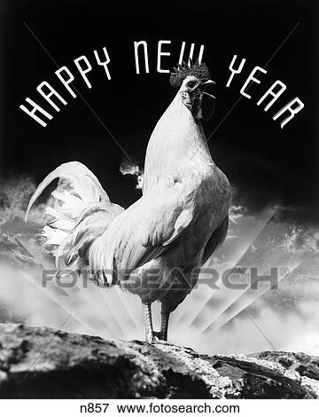 1950S Rooster Standing On Hill Crowing With Rays Of Sunlight Peeking Up From Behind & Happy New Year Spelled Out In Arc Overhead View Large Photo Image Stock Photo - 1950S Rooster Standing On Hill Crowing With Rays Of Sunlight Peeking Up From Behind & Happy New Year Spelled Out In Arc Overhead. Fotosearch