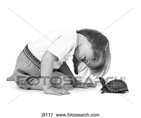 1960S Girl Looking At Box Turtle View Large Photo Image Stock Photo - 1960S Girl Looking At Box Turtle. Fotosearch