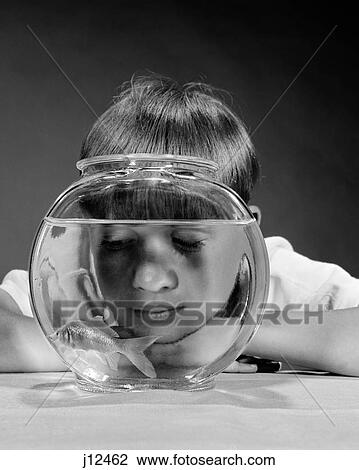 1970S Boy Watching Goldfish Swim In Bowl Studio View Large Photo Image Stock Image - 1970S Boy Watching Goldfish Swim In Bowl Studio. Fotosearch