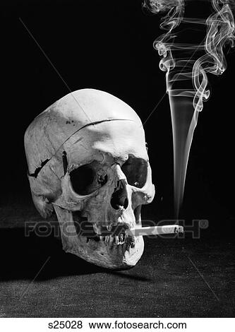 1990S Human Skull Smoking A Cigarette View Large Photo Image Stock Photo - 1990S Human Skull Smoking A Cigarette. Fotosearch