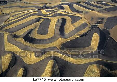 Contour Farming Aerial View Of A Palouse Wheat Farm Eastern Washington View Large Photo Image Stock Photography - Contour Farming Aerial View Of A Palouse Wheat Farm Eastern Washington. Fotosearch
