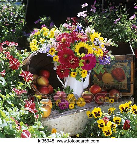 Stock Photo - Flower Arrangement In Garden Setting With Antique Wooden Box And Apples. Fotosearch